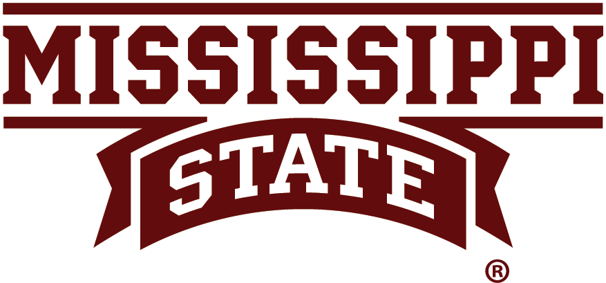 Mississippi State Bulldogs 2009-Pres Wordmark Logo diy DTF decal sticker